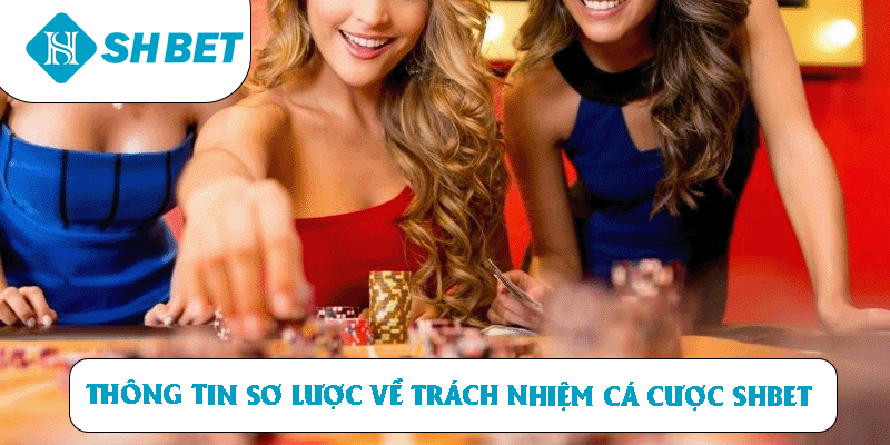 Thông tin sơ lược về điều khoản Trách nhiệm cá cược tại SHBET